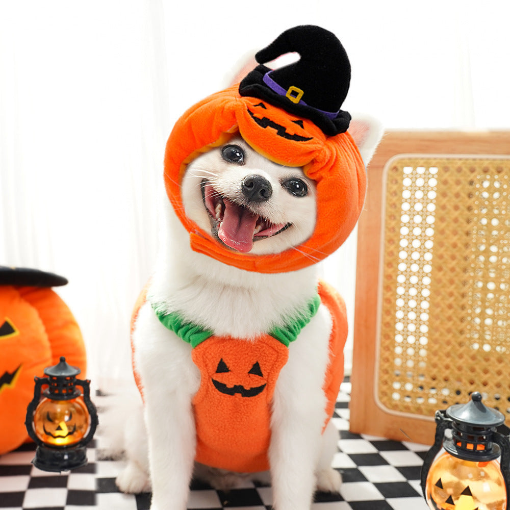 Halloween Pumpkin Pet Vest – Funny Dog & Cat Costume