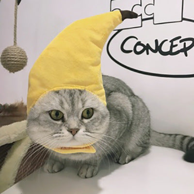 Cute Sunflower Pet Hat – Funny Cat & Dog Headgear