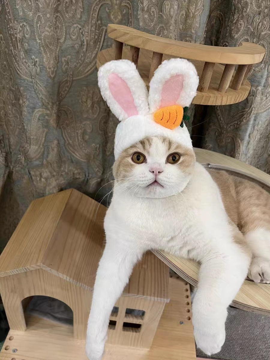 Cute Sunflower Pet Hat – Funny Cat & Dog Headgear