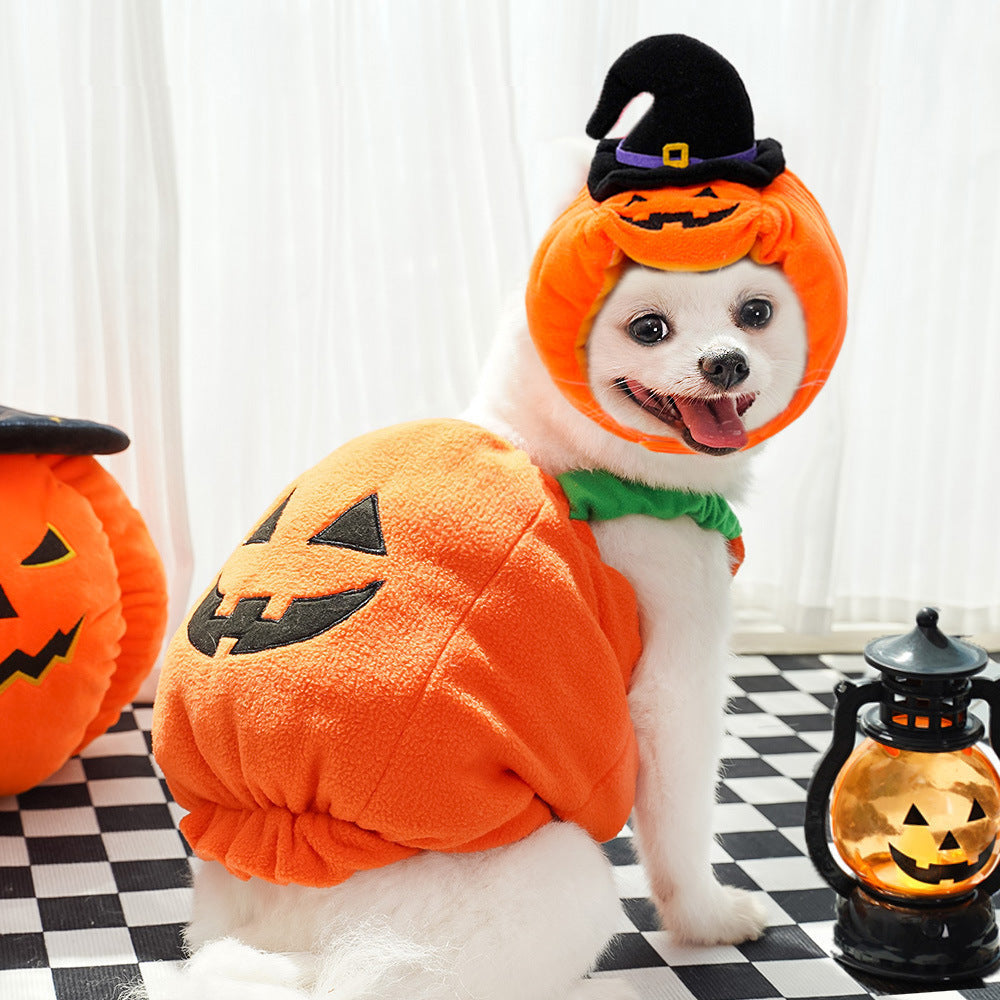 Halloween Pumpkin Pet Vest – Funny Dog & Cat Costume