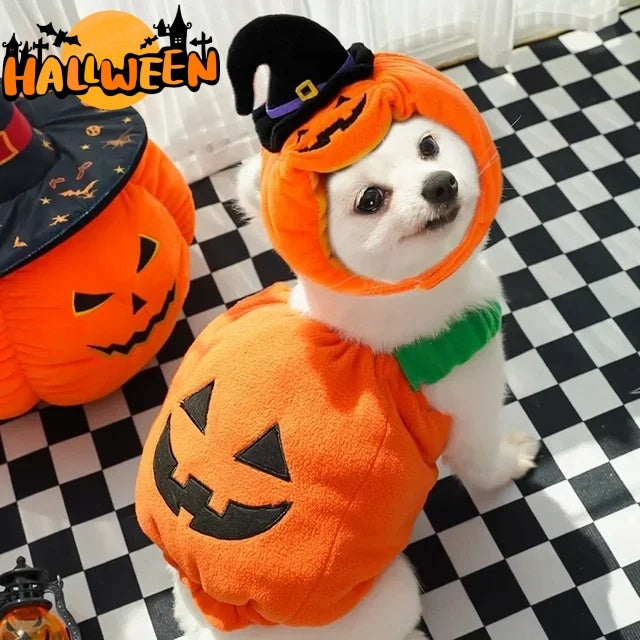Halloween Pumpkin Pet Vest – Funny Dog & Cat Costume