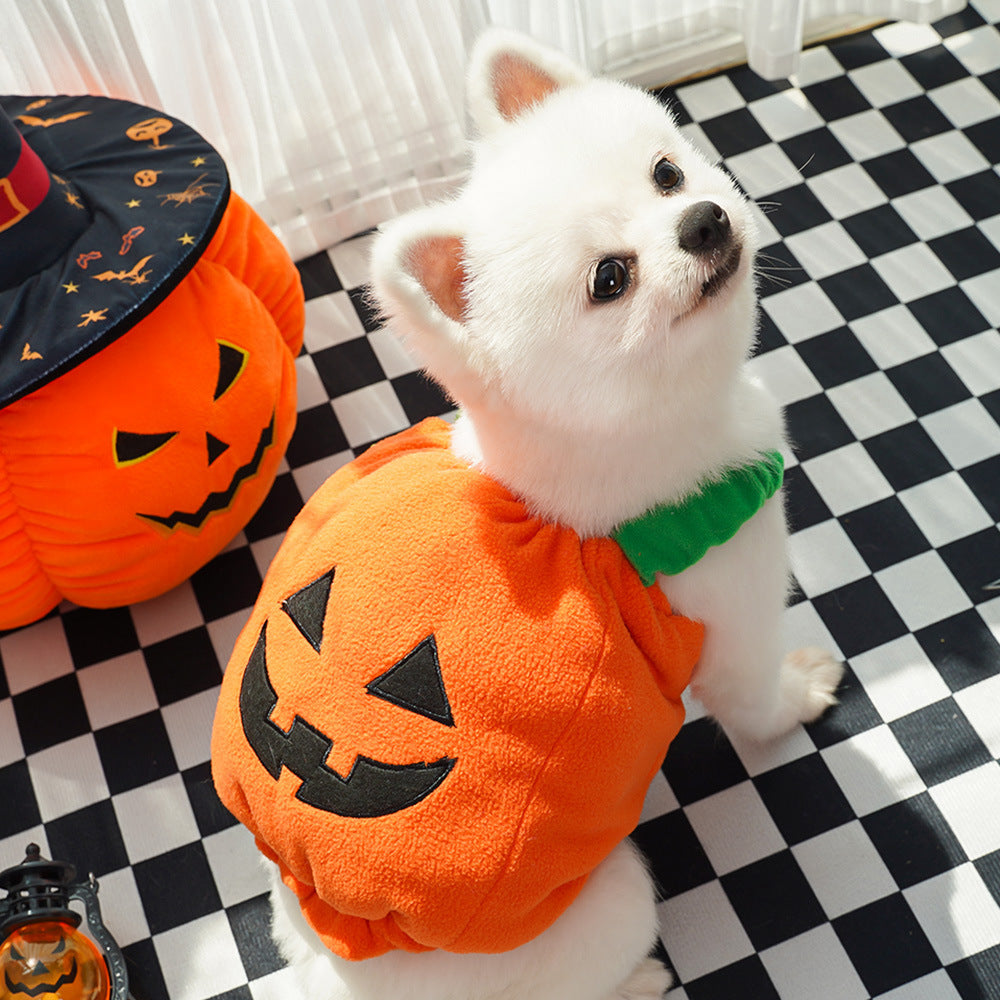 Halloween Pumpkin Pet Vest – Funny Dog & Cat Costume