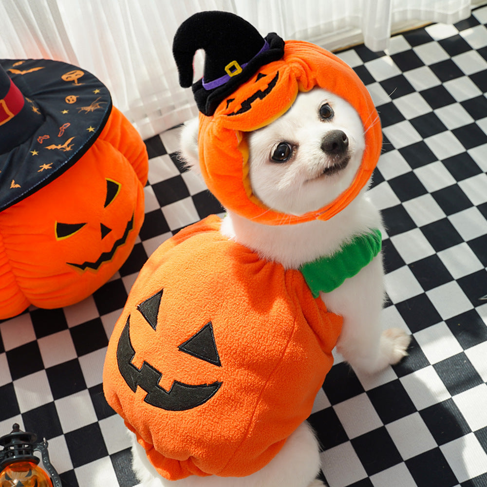 Halloween Pumpkin Pet Vest – Funny Dog & Cat Costume